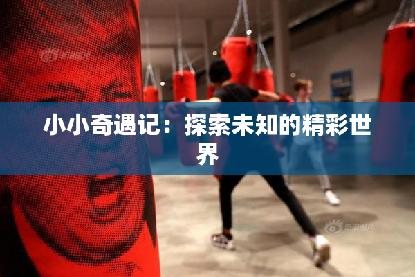 小小奇遇记：探索未知的精彩世界