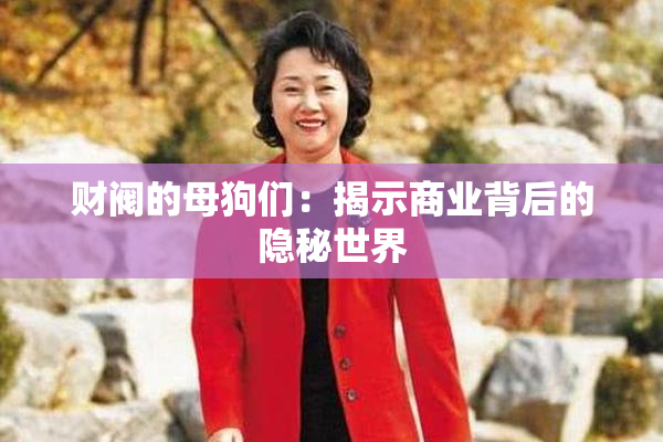 财阀的母狗们：揭示商业背后的隐秘世界