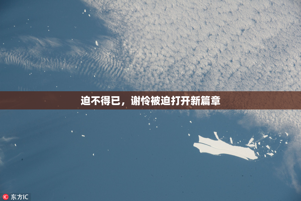 迫不得已，谢怜被迫打开新篇章