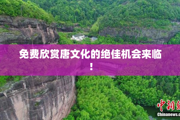 免费欣赏唐文化的绝佳机会来临！