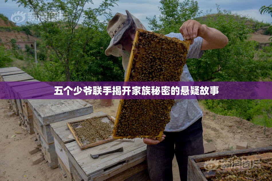 五个少爷联手揭开家族秘密的悬疑故事