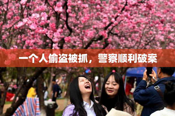 一个人偷盗被抓，警察顺利破案