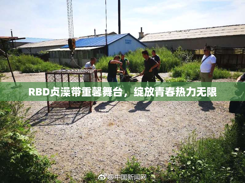 RBD贞澡带重馨舞台，绽放青春热力无限