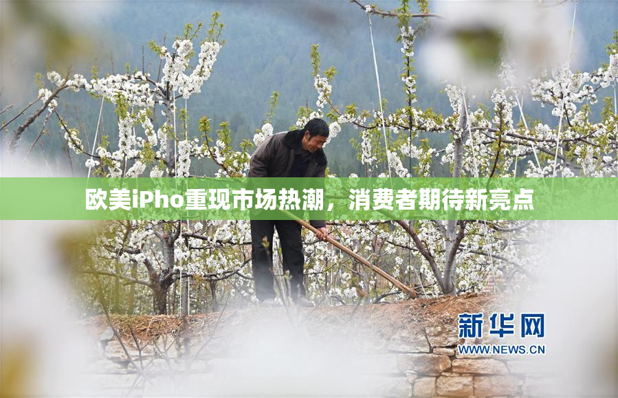 欧美iPho重现市场热潮，消费者期待新亮点
