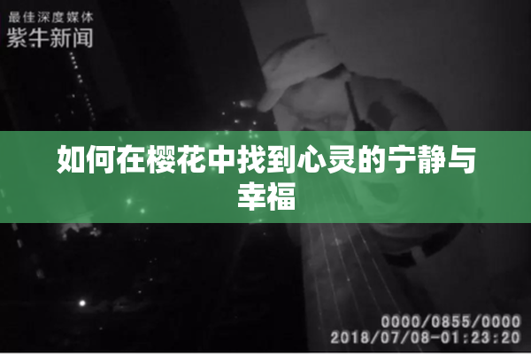 如何在樱花中找到心灵的宁静与幸福