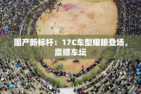 国产新标杆：17C车型耀眼登场，震撼车坛