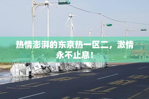 热情澎湃的东京热一区二，激情永不止息！
