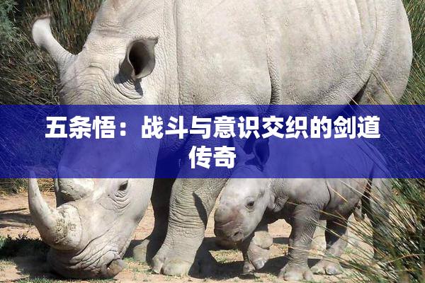 五条悟：战斗与意识交织的剑道传奇