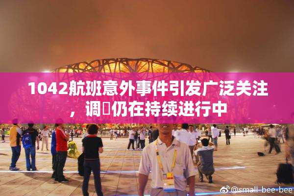 1042航班意外事件引发广泛关注，调査仍在持续进行中