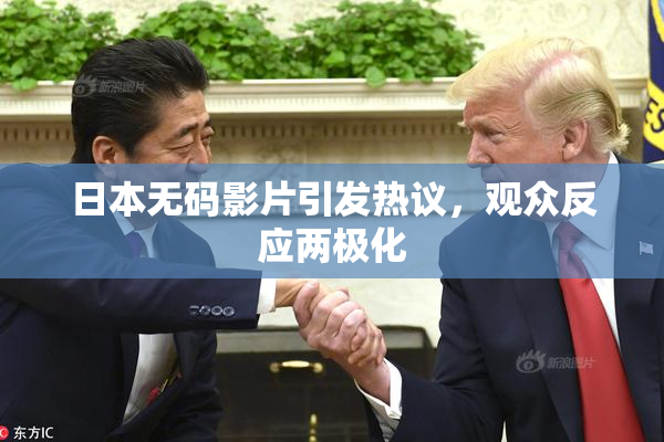 日本无码影片引发热议，观众反应两极化