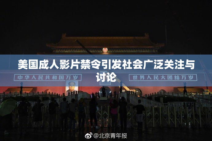 美国成人影片禁令引发社会广泛关注与讨论