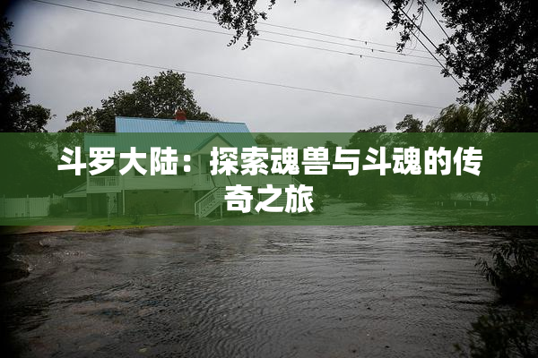 斗罗大陆：探索魂兽与斗魂的传奇之旅