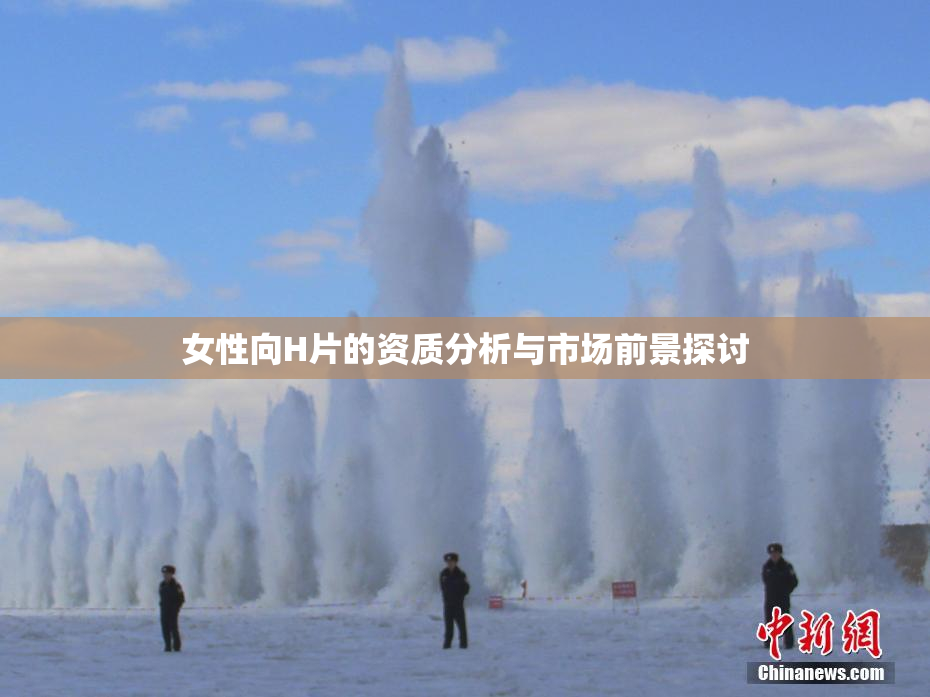 女性向H片的资质分析与市场前景探讨