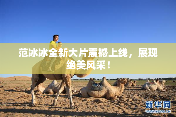 范冰冰全新大片震撼上线，展现绝美风采！