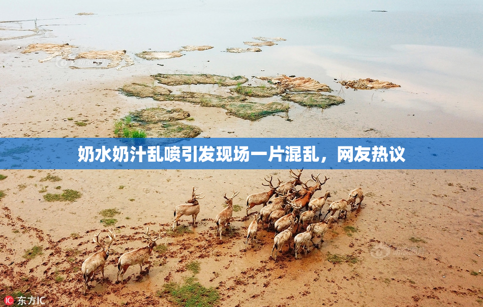 奶水奶汁乱喷引发现场一片混乱，网友热议