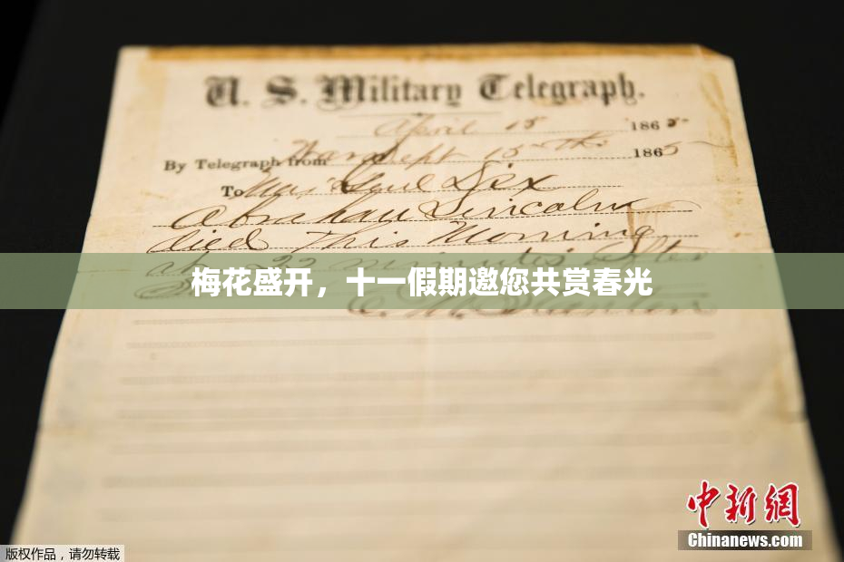 梅花盛开，十一假期邀您共赏春光