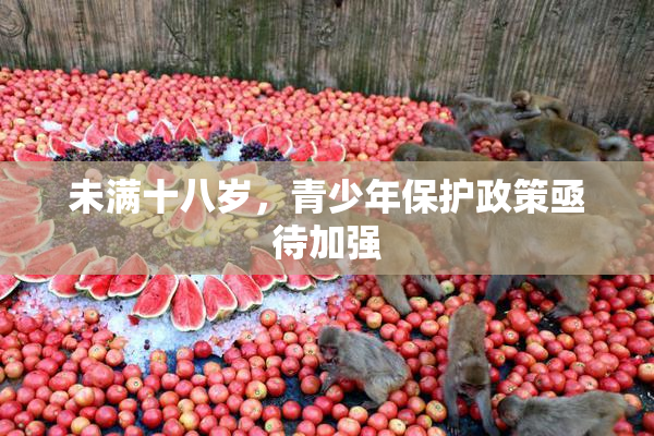 未满十八岁，青少年保护政策亟待加强