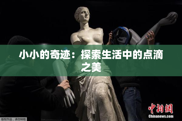 小小的奇迹：探索生活中的点滴之美