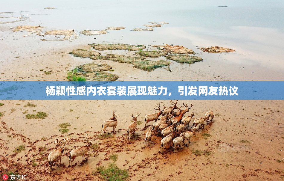 杨颖性感内衣套装展现魅力，引发网友热议