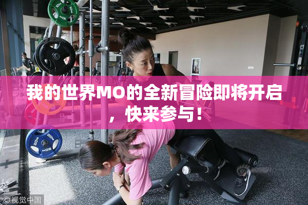 我的世界MO的全新冒险即将开启，快来参与！
