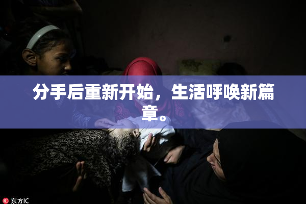 分手后重新开始，生活呼唤新篇章。