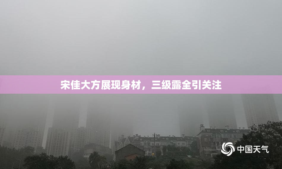 宋佳大方展现身材，三级露全引关注
