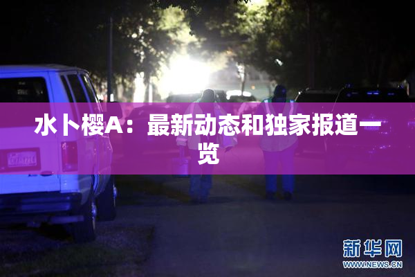 水卜樱A：最新动态和独家报道一览