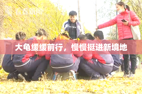 大龟缓缓前行，慢慢挺进新境地