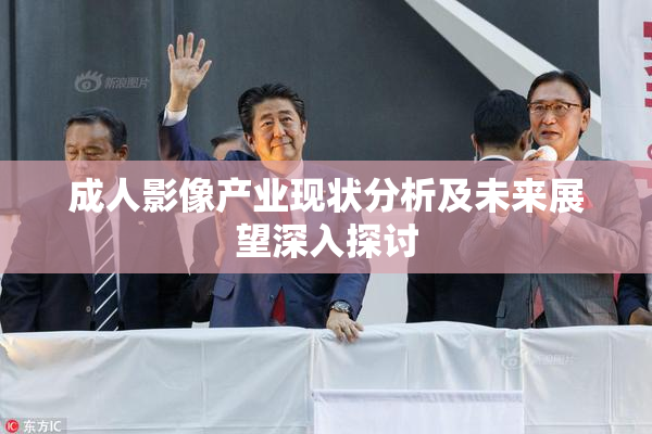 成人影像产业现状分析及未来展望深入探讨