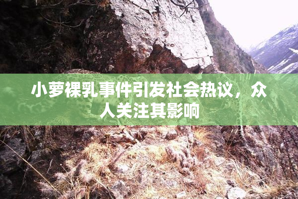 小萝裸乳事件引发社会热议，众人关注其影响
