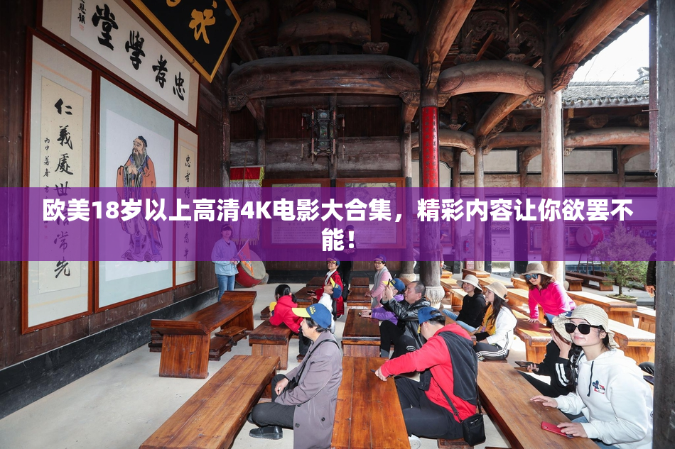 欧美18岁以上高清4K电影大合集，精彩内容让你欲罢不能！
