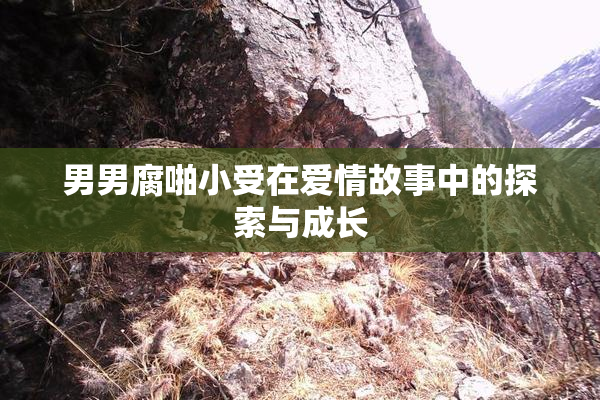 男男腐啪小受在爱情故事中的探索与成长
