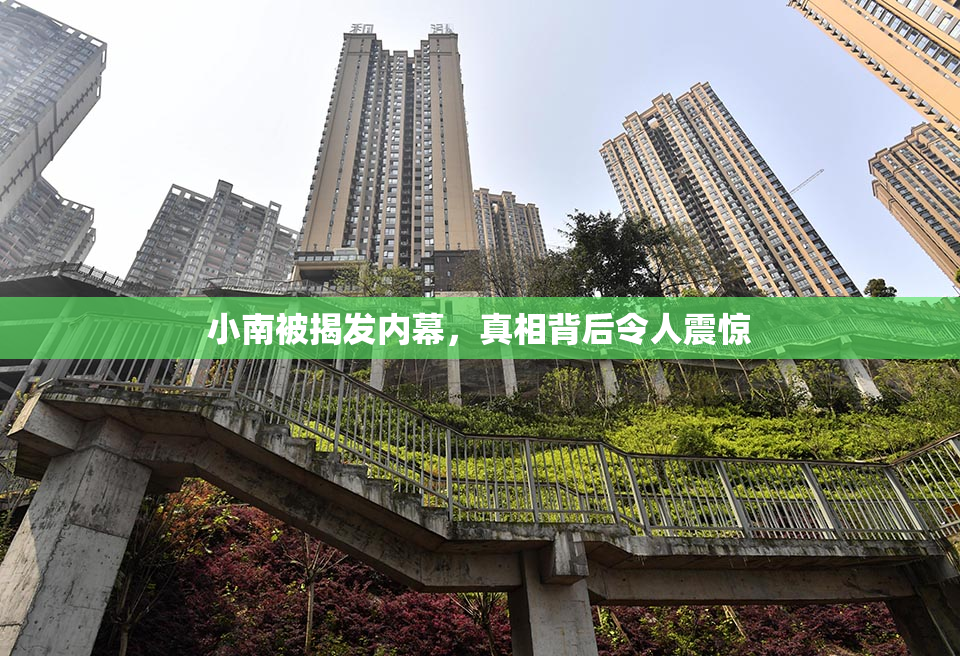 小南被揭发内幕，真相背后令人震惊