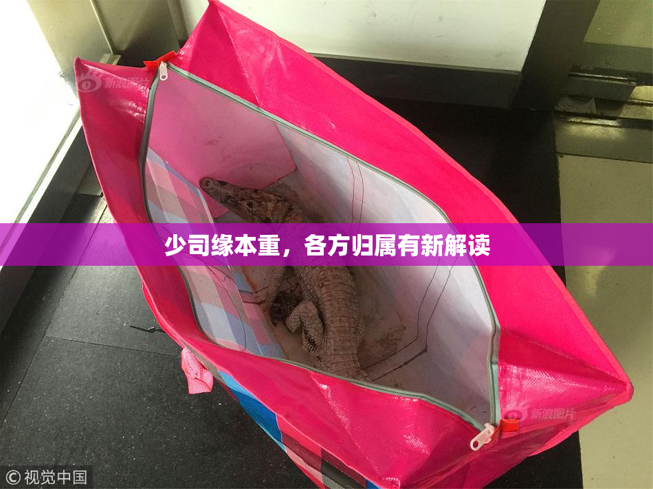 少司缘本重，各方归属有新解读