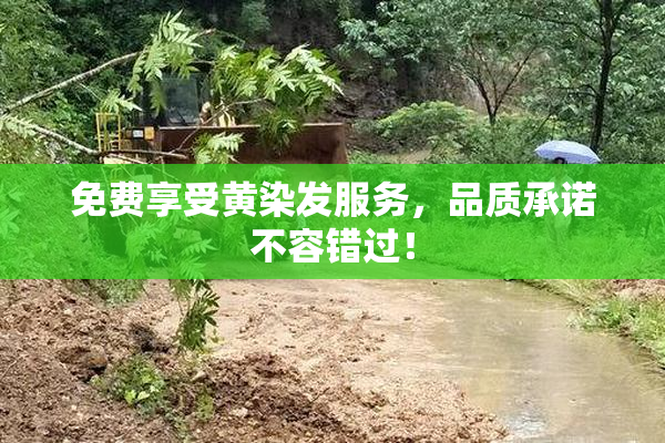 免费享受黄染发服务，品质承诺不容错过！