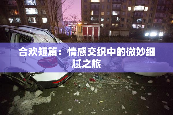 合欢短篇：情感交织中的微妙细腻之旅