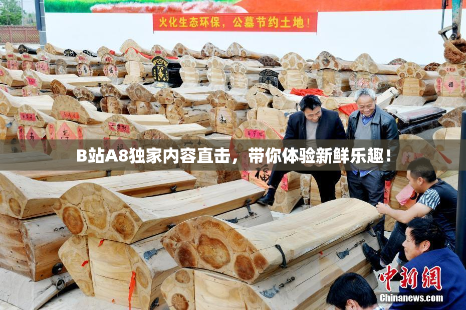 B站A8独家内容直击，带你体验新鲜乐趣！