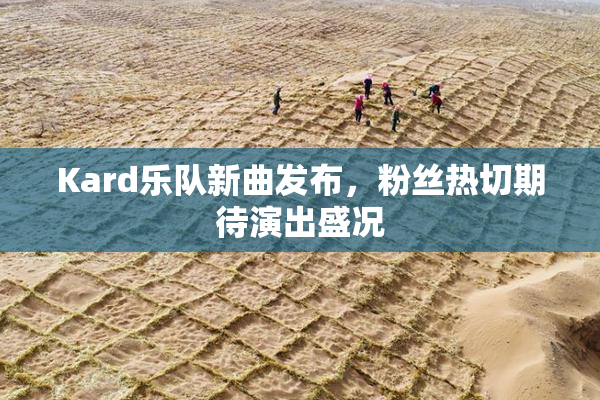 Kard乐队新曲发布，粉丝热切期待演出盛况