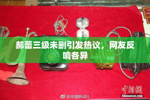 郝蕾三级未删引发热议，网友反响各异