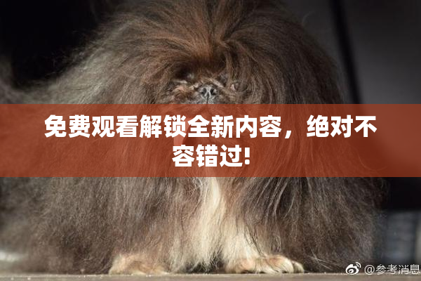 免费观看解锁全新内容，绝对不容错过!