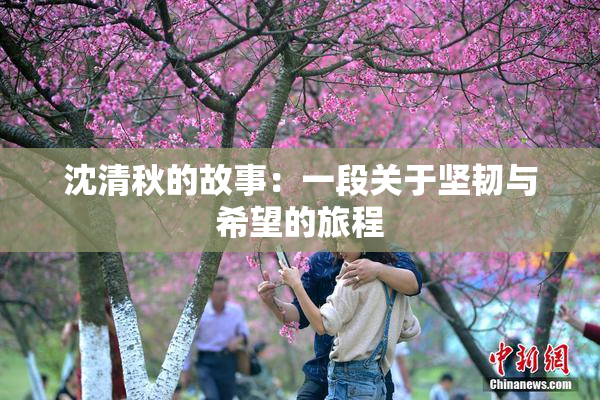 沈清秋的故事：一段关于坚韧与希望的旅程