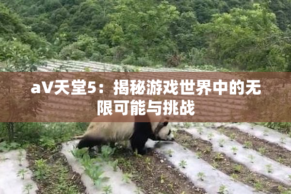 a∨天堂5：揭秘游戏世界中的无限可能与挑战