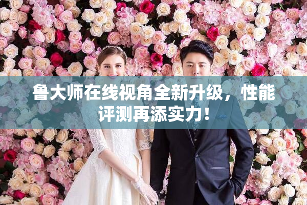 鲁大师在线视角全新升级，性能评测再添实力！