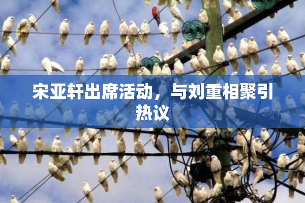 宋亚轩出席活动，与刘重相聚引热议
