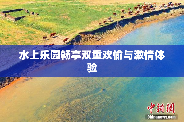 水上乐园畅享双重欢愉与激情体验