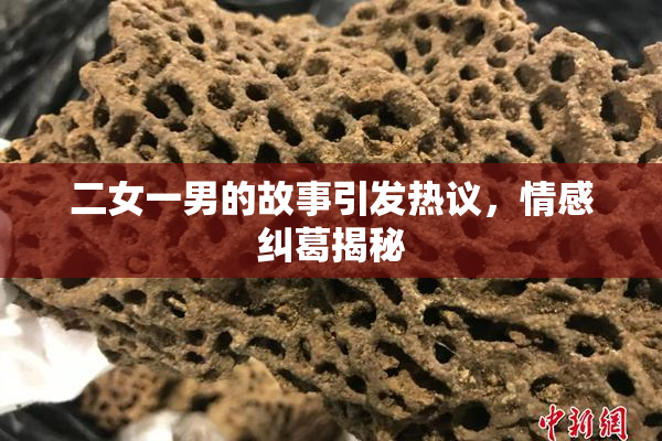 二女一男的故事引发热议，情感纠葛揭秘