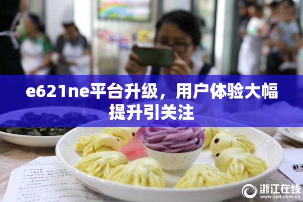e621ne平台升级，用户体验大幅提升引关注
