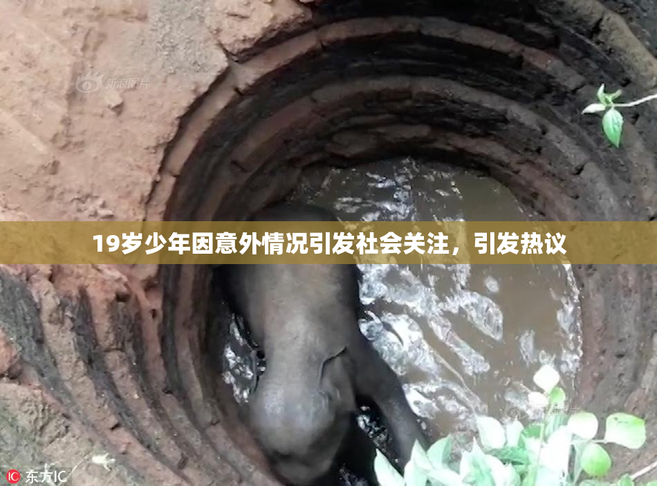 19岁少年因意外情况引发社会关注，引发热议