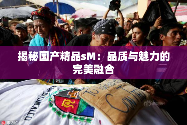 揭秘国产精品sM：品质与魅力的完美融合
