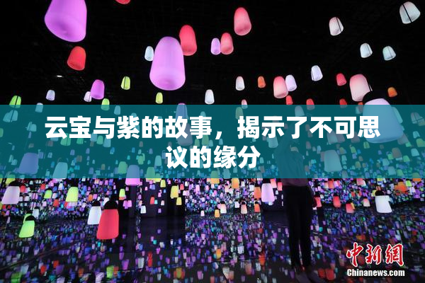 云宝与紫的故事，揭示了不可思议的缘分
